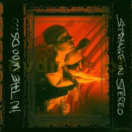In The Woods: Strange In Stereo [CD]