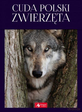 Cuda Polski. Zwierzęta - Łukasz Przybyłowicz [KSIĄŻKA]