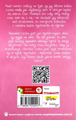 Łezka przerażona kotka. Zaopiekuj się mną - Holly Webb [KSIĄŻKA]