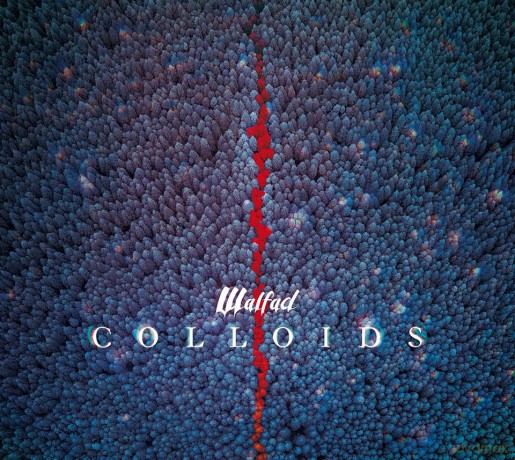 Walfad: Colloids [CD]