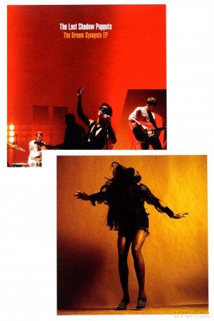 The Last Shadow Puppets: Everything You'Ve Come To Expect (Deluxe) [2CD]