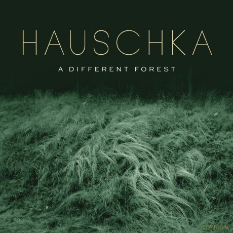 Hauschka: A Different Forest [CD]