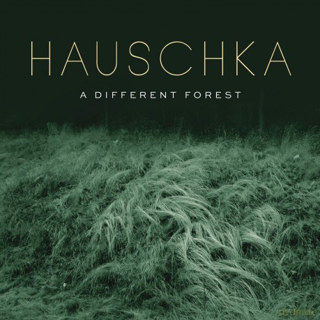 Hauschka: A Different Forest [Winyl]