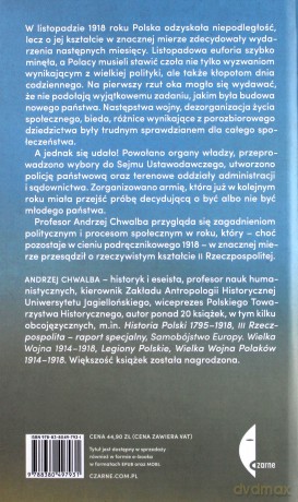 1919 pierwszy rok wolności - Andrzej Chwalba [KSIĄŻKA]