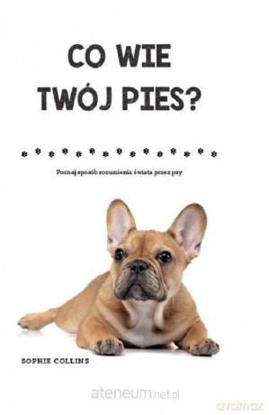 Co wie Twój pies? - Sophie Collins [KSIĄŻKA]