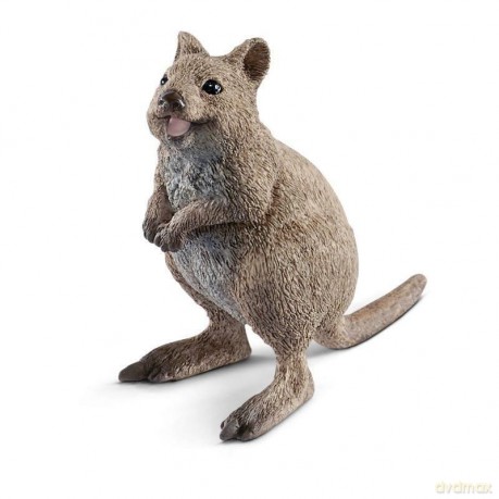 Kuoka krótkoogonowa [FIGURKA]