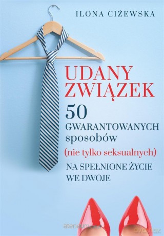 Udany związek. 50 gwarantowanych sposobów - Ilona Ciżewska [KSIĄŻKA]
