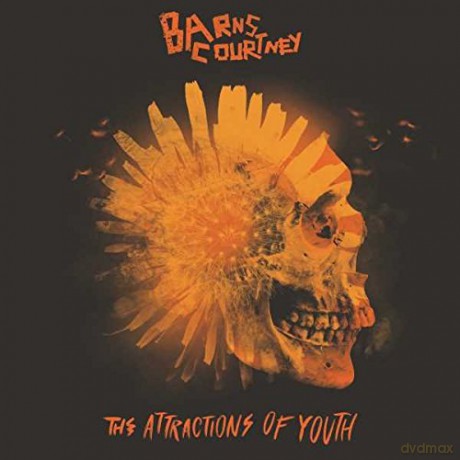 Barns Courtney: The Attractions Of Youth [CD]