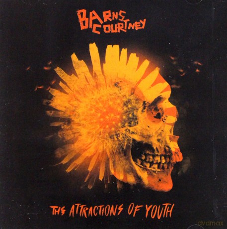 Barns Courtney: The Attractions Of Youth [CD]