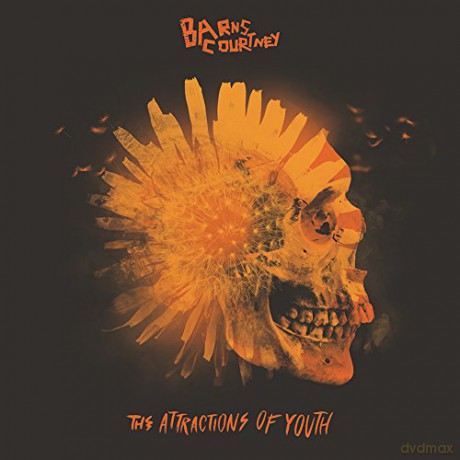 Barns Courtney: The Attractions Of Youth [Winyl]
