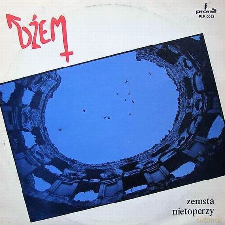 Dżem: Zemsta Nietoperzy [Winyl]