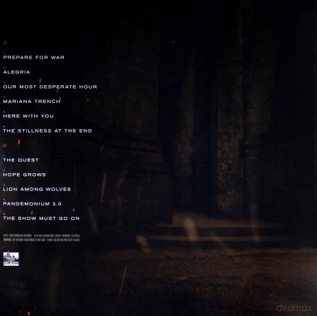 Nita Strauss: Controlled Chaos (Transparent Yellow) [Winyl]