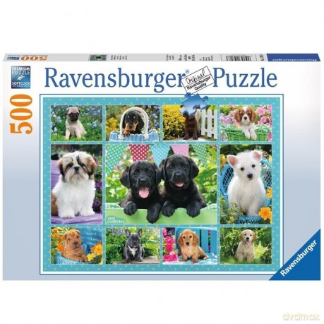 RAVENSBURGER 500 el. Ładne pieski [PUZZLE]