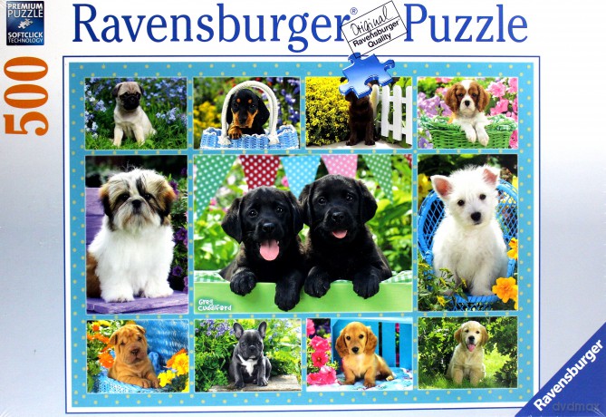 RAVENSBURGER 500 el. Ładne pieski [PUZZLE]