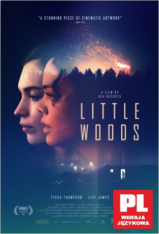 Little Woods [DVD]