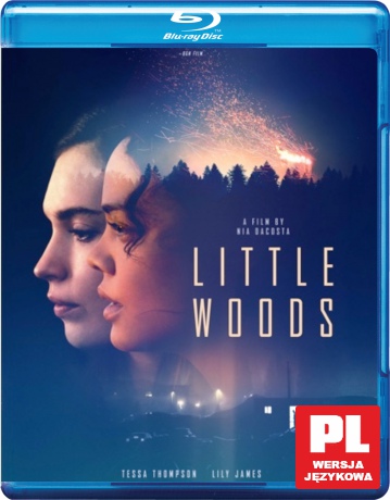 Little Woods [Blu-Ray]