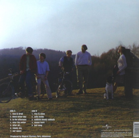 The Cardigans: Emmerdale [Winyl]