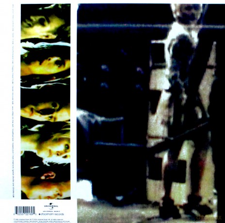 The Cardigans: First Band On The Moon [Winyl]