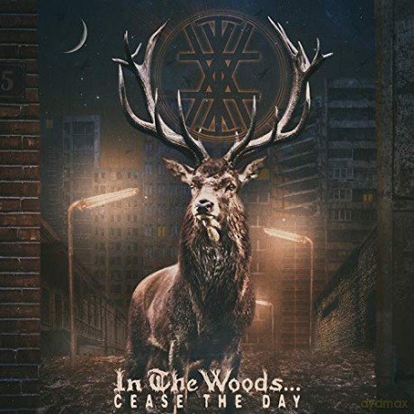 In The Woods: Cease The Day [2xWinyl]