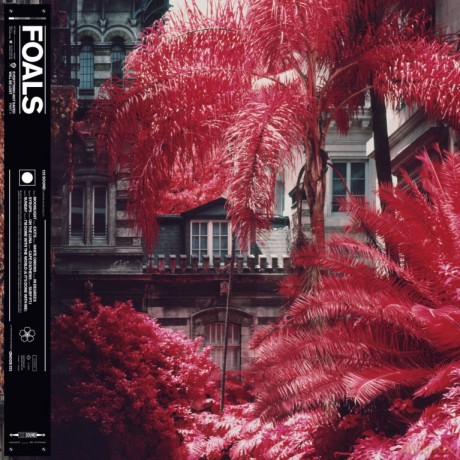 FOALS: Everything Not Saved Will Be Lost Part 1 [Winyl]