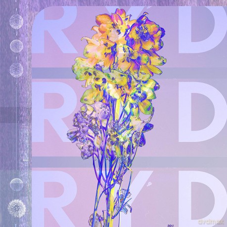 RYD: RYD [Winyl]