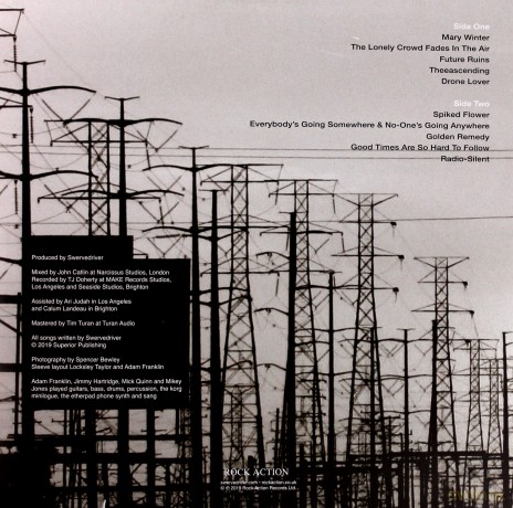 Swervedriver: Future Ruins [Winyl]