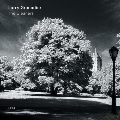 Larry Grenadier: The Gleaners [Winyl]