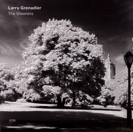 Larry Grenadier: The Gleaners [Winyl]