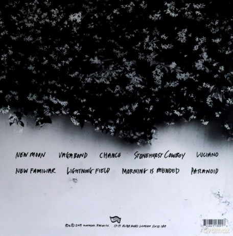 Steve Gunn: The Unseen In Between [Winyl]