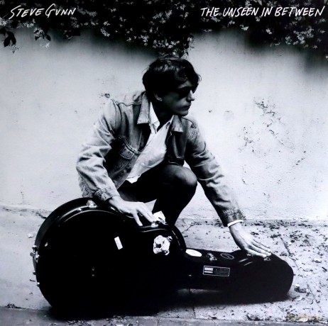 Steve Gunn: The Unseen In Between [Winyl]