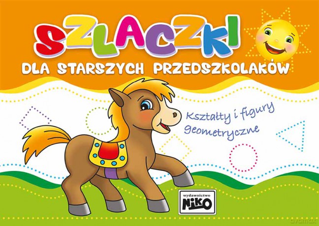 Szlaczki dla starszych przedszkolaków. Kształty i figury geometryczne - Wydawnictwo Niko [KSIĄŻKA]