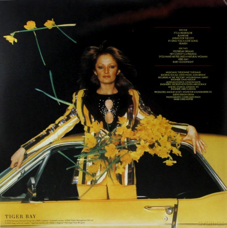 Bonnie Tyler: Natural Force [Winyl]
