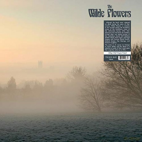 Wilde Flowers: The Wilde Flowers [Winyl]