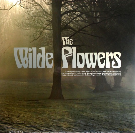 Wilde Flowers: The Wilde Flowers [Winyl]