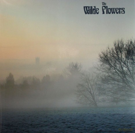 Wilde Flowers: The Wilde Flowers [Winyl]