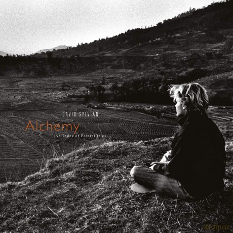 David Sylvian: Alchemy: An Index Of Possibilities (Remastered) [Winyl]
