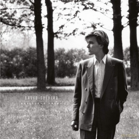 David Sylvian: Brilliant Trees (Remastered) [Winyl]