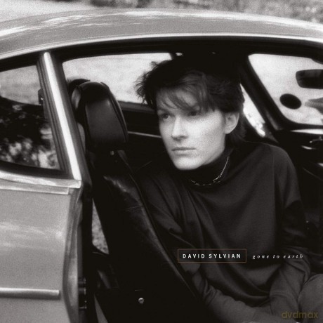 David Sylvian: Gone To Earth (Remastered) [2xWinyl]