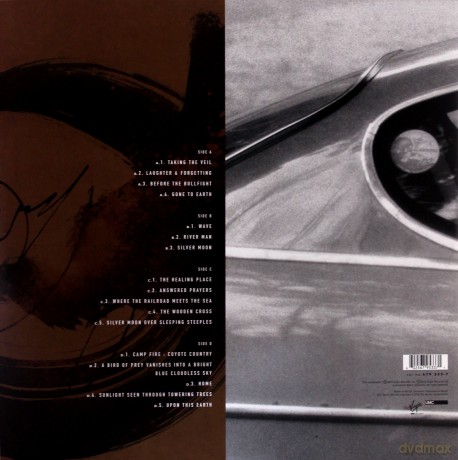 David Sylvian: Gone To Earth (Remastered) [2xWinyl]