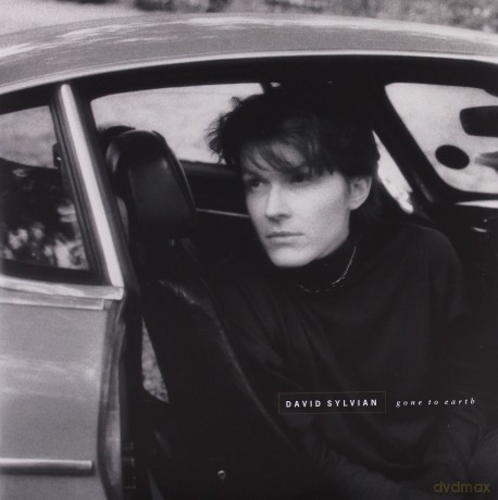 David Sylvian: Gone To Earth (Remastered) [2xWinyl]