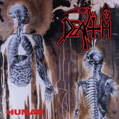 Death: Human (Limited) [Winyl]