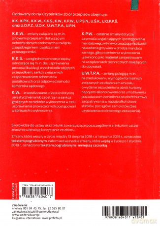 Zbiór karny plus 2019 Stan prawny na 1 stycznia 2019 roku - Opracowanie zbiorowe [KSIĄŻKA]