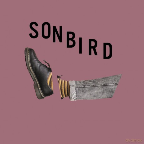 Sonbird: Głodny (digipack) [CD]