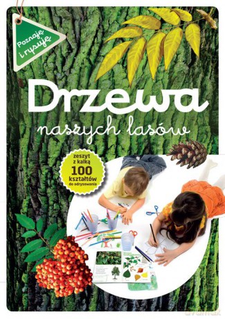 Drzewa naszych lasów. Poznaję i rysuję - Andżelika Bielańska [KSIĄŻKA]