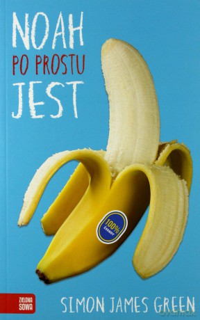 Noah. Po prostu jest - Simon James Green [KSIĄŻKA]