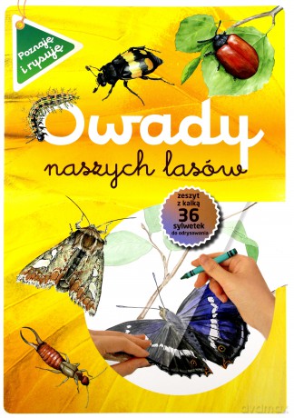 Owady naszych lasów. Poznaję i rysuję - Katarzyna Kopiec-Sekieta [KSIĄŻKA]