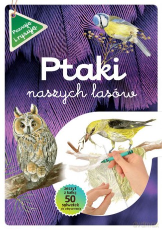 Ptaki naszych lasów. Poznaję i rysuję - Katarzyna Kopiec-Sekieta [KSIĄŻKA]