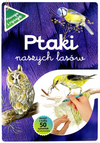 Ptaki naszych lasów. Poznaję i rysuję - Katarzyna Kopiec-Sekieta [KSIĄŻKA]