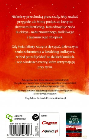 Wyścig marzeń - Sarah Moore Fitzgerald [KSIĄŻKA]