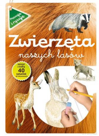 Zwierzęta naszych lasów. Poznaję i rysuję - Katarzyna Kopiec-Sekieta [KSIĄŻKA]